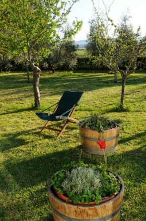 Отель Agriturismo Valle dei Venti  La Sdriscia